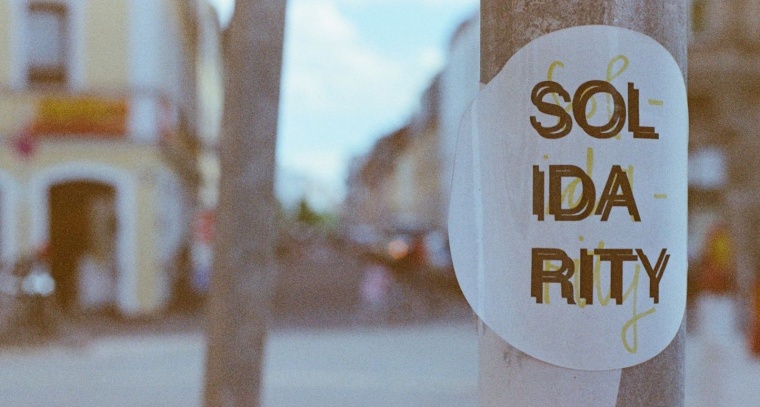 Solidaritate, dar nu pentru căței